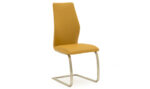 Irma Dining Chair - Brushed Steel Pumpkin - Image 2