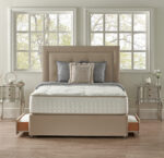 Embrace 1000 - Serenity Collection