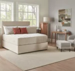 Symmetry - Ortho Collection