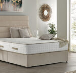 Visco 1000 - Serenity Collection