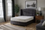 Ambassador Ottoman Bed