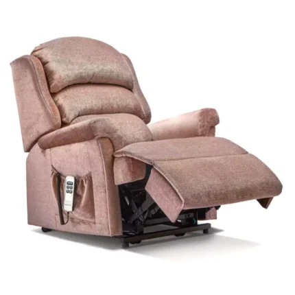 Albany Petite Fabric Electric Riser Recliner