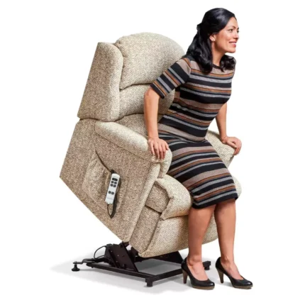 Albany Small Fabric Electric Riser Recliner