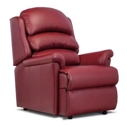 Albany Standard Leather Fixed Chair