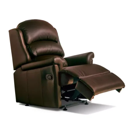Albany Standard Leather Recliner