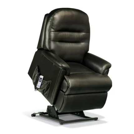 Keswick Petite Leather Electric Riser Recliner