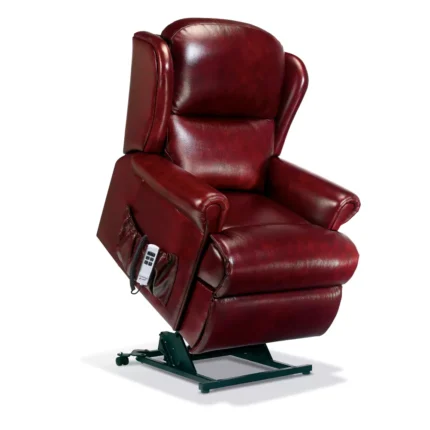 Malvern Standard Leather Electric Riser Recliner