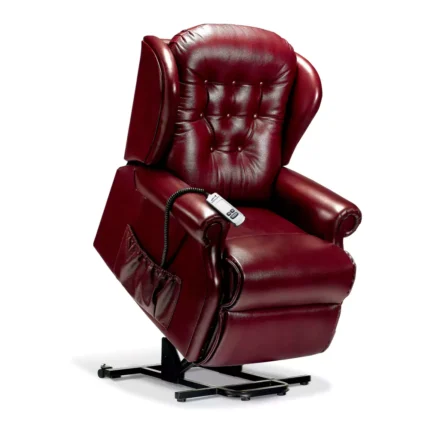 Lynton Standard Leather Electric Riser Recliner