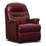 Keswick Small Leather Fixed Chair - Image 2