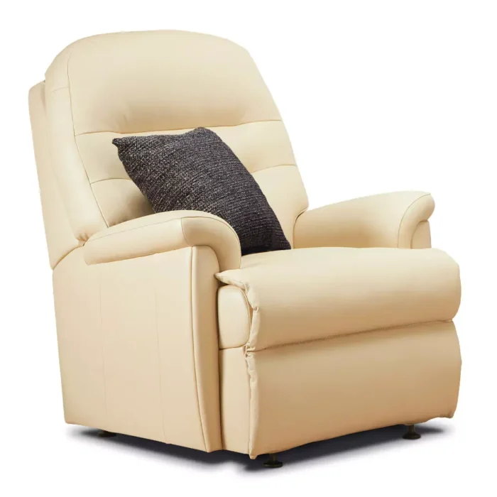 Keswick Standard Leather Fixed Chair - Image 1