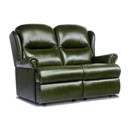 Malvern Standard Leather Fixed 2-Seater Settee