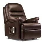 Beaumont Royale Leather Electric Riser Recliner - Image 2